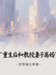 《重生后和教授妻子离婚》沈砚林晚苏晴全文精彩试读