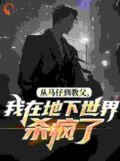 从马仔到教父，我在地下世界杀疯了小说全文免费阅读 李湛阿珍章节目录精彩章节