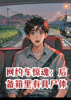 网约车惊魂：后备箱里有具尸体陈博老冯何不思目录 网约车惊魂：后备箱里有具尸体小说阅读