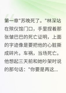 《她在自己葬礼上看我哭》小说章节列表免费阅读 林深苏晚小说全文