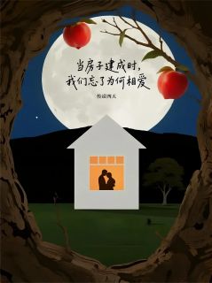 当房子建成时，我们忘了为何相爱林舒强子小说大结局在线阅读