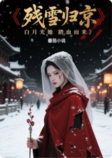 沈知微柳如烟萧珩小说 残雪归京：白月光她踏血而来(沈知微柳如烟萧珩)小说阅读