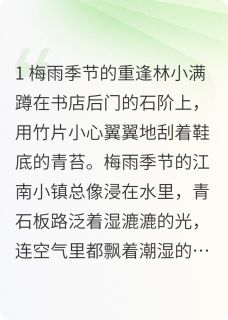 《记忆中的旧时光》林小满陈砚礼小说全部章节目录