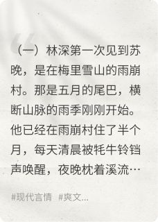 《雾漫青山时》小说全集免费在线阅读（林深苏晚）