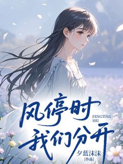 《风停时我们分开》小说章节精彩试读 席今安江诗语陈言希小说全文