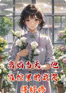 苏晚顾承屿小说 《离婚当天，他监控里的我哭得好惨》小说全文在线试读