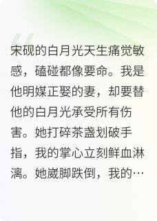 99次代她受刑他数清我身上98烙印全章节免费阅读 主角宋砚阮清漪完结版