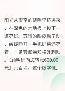 重生后，不再做冤种好婶婶苏晴林晚晴顾明远 重生后，不再做冤种好婶婶小说免费阅读