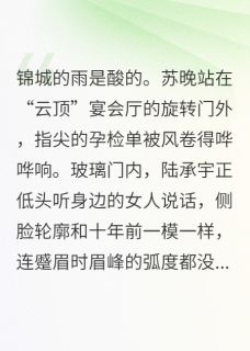《陆先生，请止步》小说全文在线阅读 《陆先生，请止步》最新章节列表