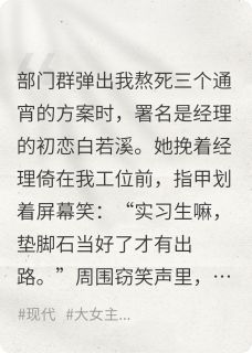 《偷我方案？送你毁容坐牢》白若溪张诚大结局精彩试读