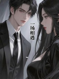 《一场相遇》小说全文在线试读 《一场相遇》最新章节目录