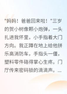 贺小树贺时川小说 《顶流隐婚生子，孩子管我叫爸》小说全文精彩试读