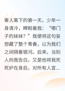 《念念不屿》傅时屿苏念大结局在线试读