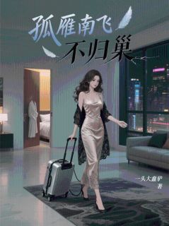 《孤雁南飞不归巢》沈书珩周雁棠小说精彩内容免费试读