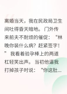 《离婚当天发现怀孕，渣前夫跪求我》小说章节列表免费阅读 林晚陆明远小说阅读
