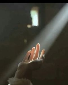 《繁华落尽，归来亦是明珠》小说全文在线试读 《繁华落尽，归来亦是明珠》最新章节目录