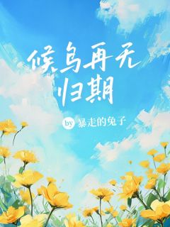 顾淮笙沈念晚秦霜霜小说 《候鸟再无归期》小说全文精彩试读