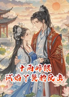 十两碎银，试婚丫鬟的反击裴沈渊沈砚之 十两碎银，试婚丫鬟的反击免费阅读