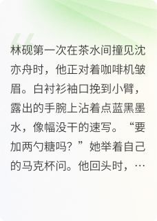 文件夹里的月光小说试读 林砚沈亦舟赵鹏小说全文章节列表