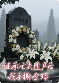 继承亡夫遗产后我手撕全场by苏晚林泽周晴精彩章节 苏晚林泽周晴小说全集免费试读