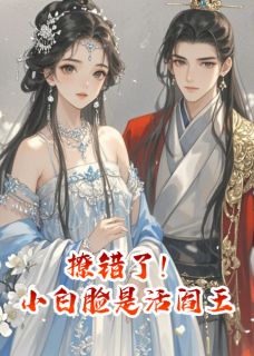 撩错了！小白脸竟是活阎王完整目录在线阅读 (萧玦萧珩阿玦) 大结局无弹窗