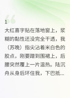 婚戒未戴：他消失在新婚夜陆沉舟林峰小说结局完整全文
