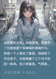 爱意随火烬，抬头见星辰全文精彩章节在线阅读（周宴顾屿夏楠）