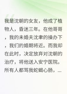 《送男友安乐死后，他哥骂我贱人》小说免费阅读 沈聿沈朝林薇薇小说大结局免费试读