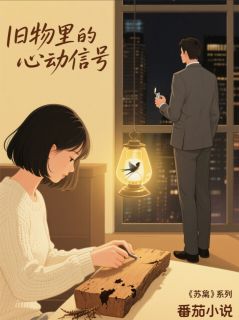 苏晚陆承宇章节目录 《时光里的设计图》全文阅读