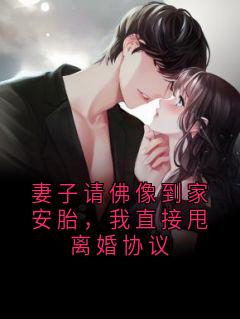 新书《妻子请佛像到家安胎，我直接甩离婚协议》小说全集阅读 晏知州林婉小说免费完整版全文
