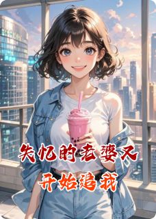 精品《失忆的老婆又开始追我》小说免费试读 苏晚林屿小说全集无删减全文