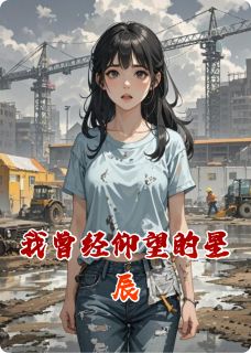 《我曾经仰望的星辰》小说完结版精彩试读 陈默林晓小说阅读