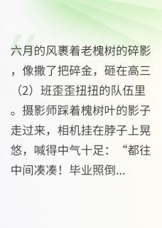 未完的旅程小说全文免费阅读 苏念陈阳章节目录精彩章节