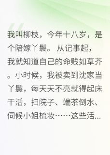 替嫁丫鬟：侯爷宠我上瘾