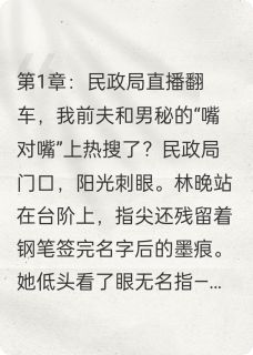 离婚当天，老公和男秘书爆红全网江屿林晚陆沉by翊翊宝在线阅读