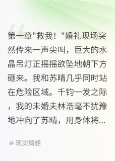 《未婚夫为救白月光推开我后悔已晚》林浩苏晴小说最新章节目录及全文精彩章节