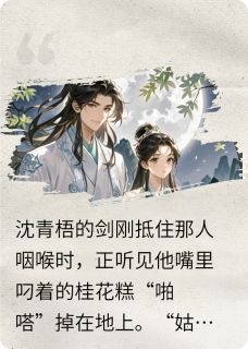 《江湖有喜，公子无刀》苏软沈青梧章节列表免费阅读