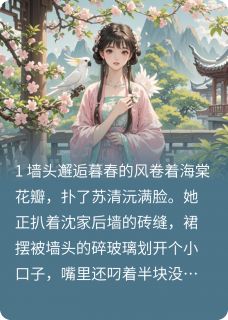 《砚边沅声》小说免费阅读 《砚边沅声》最新章节列表