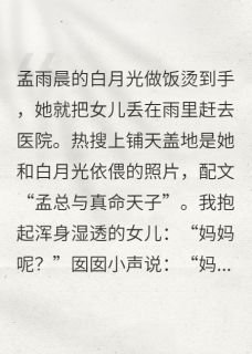 白月光烫伤后，妻子弃女在雨夜全章节免费阅读 主角囡囡孟雨晨完结版