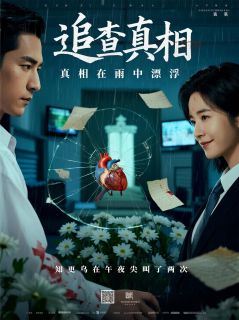 《知更鸟在午夜尖叫了两次》陆沉陆昭王桂花章节列表精彩试读