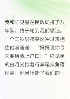 陆见星沈约林念初大结局在线阅读 《旧梦如烟念倾约》免费阅读