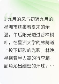 林晚星江逾白章节目录 《夏夜晚风与未读消息》全文阅读
