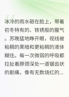 我看见凶手在发光苏晚赵红梅小说全文免费阅读