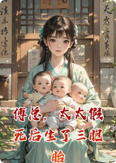 傅总，太太假死后生了三胞胎全文免费阅读 林念傅司寒傅言大结局无弹窗