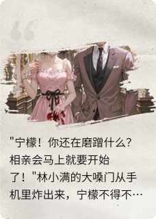 误入豪门的百万合约恋人(宁檬陆霆骁)全文完结免费试读精彩章节