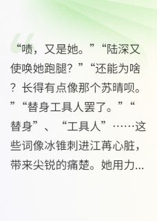 《追光：校草的替身女友火葬场了》小说章节目录在线试读 江苒陆深苏晴小说全文