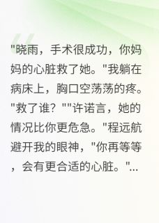 妈妈留给我的心脏被老公给白月光程远航许诺言 妈妈留给我的心脏被老公给白月光在线阅读