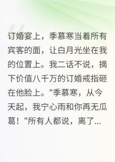 我带走八千万改嫁后渣男跪求复合景深季慕寒 我带走八千万改嫁后渣男跪求复合全文阅读