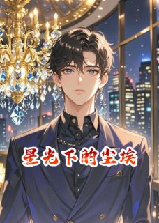 《星光下的一粒尘埃》小说章节目录精彩试读 陈阳薇薇小说阅读