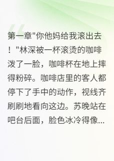 《那本会回应的日记》全文及大结局精彩试读 苏晚林深小说